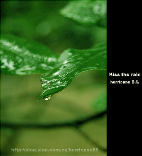 Kiss the Rain